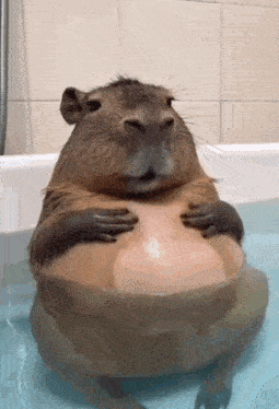 ps2.PNG (40239 bytes)